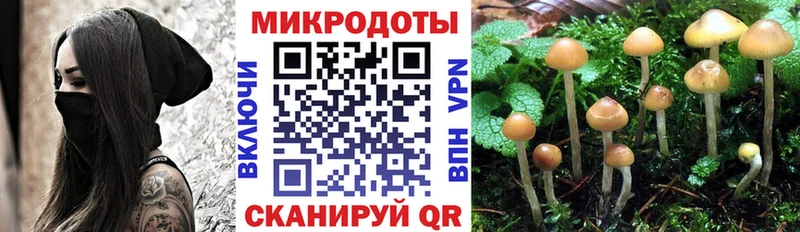 Галлюциногенные грибы GOLDEN TEACHER  кракен ССЫЛКА  Ревда 